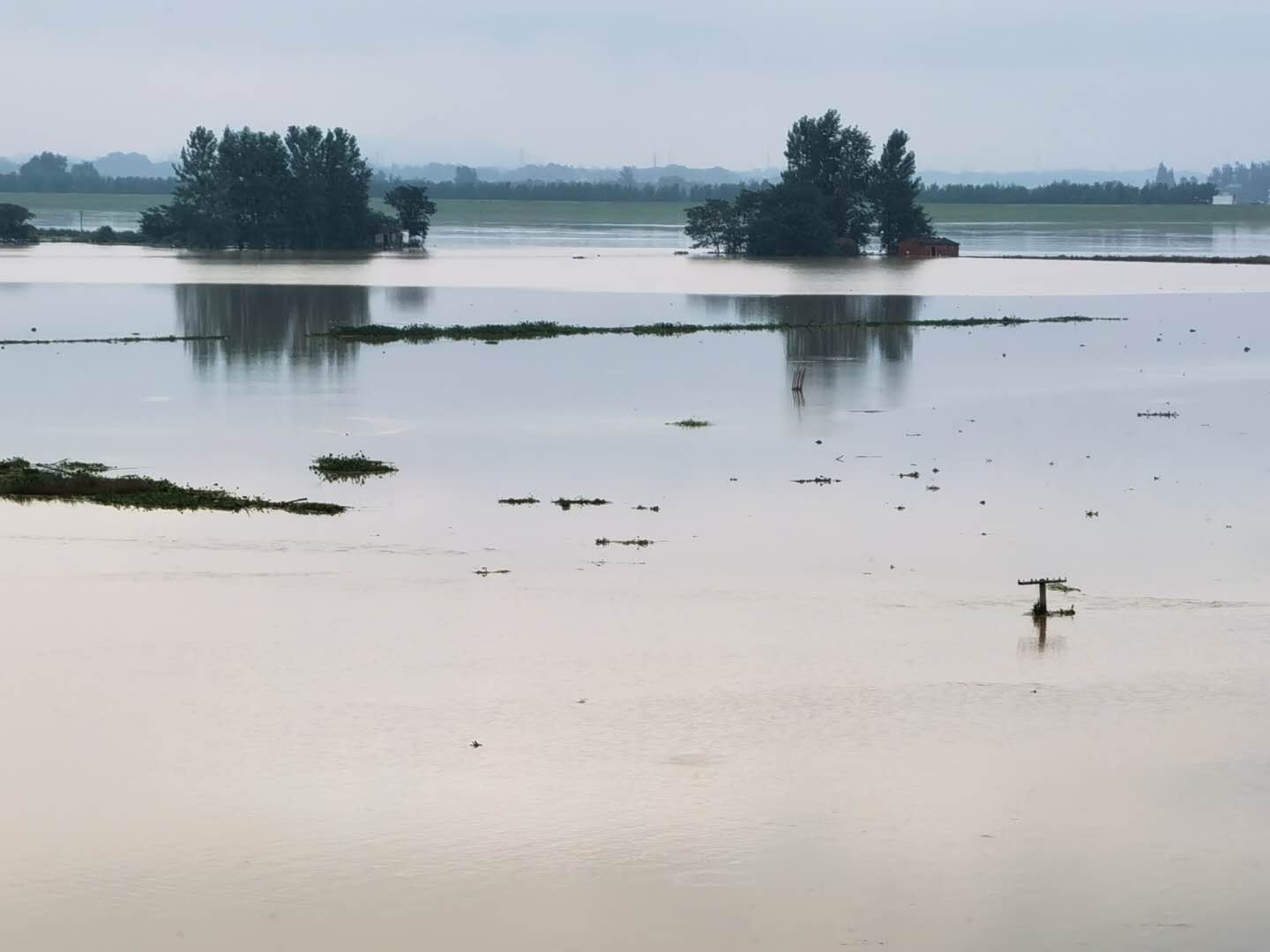 1ce90d641c1d2fc7048904e7e12356a.jpg 1ce90d641c1d2fc7048904e7e12356a.jpg