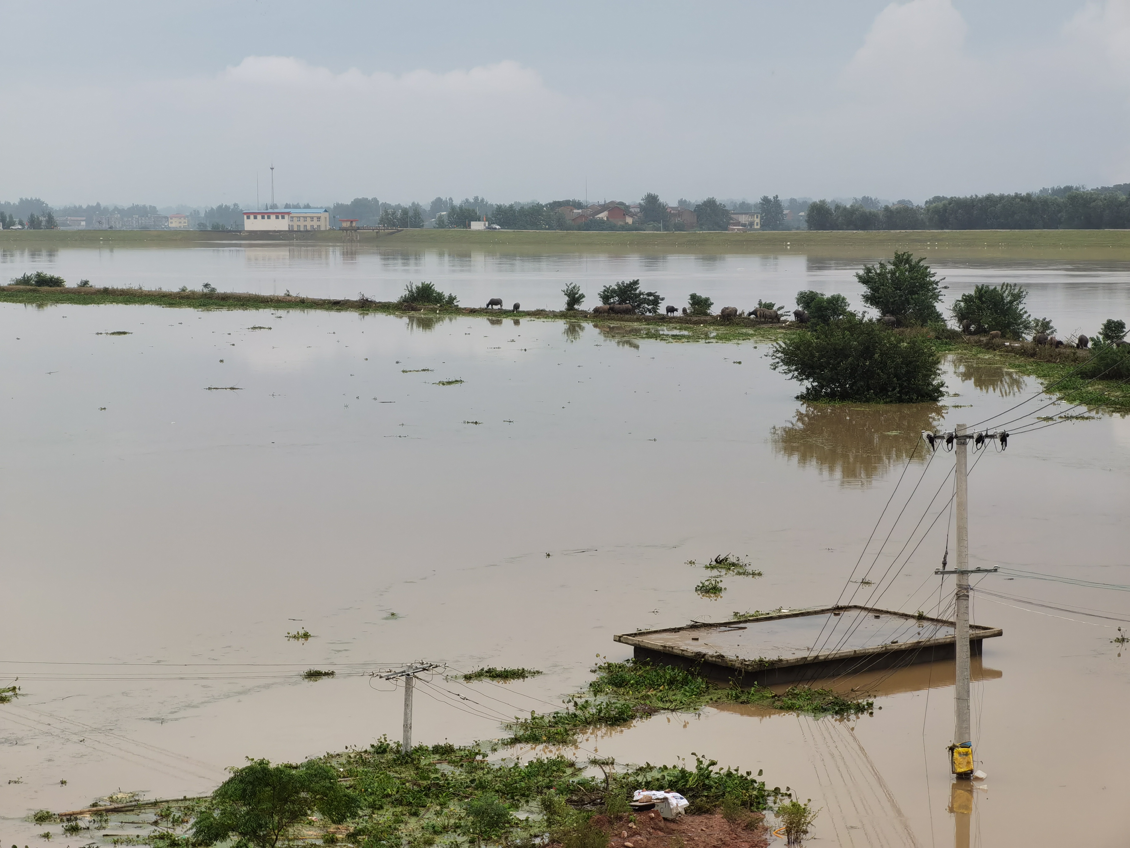 838be036869fa9ce98e024f0dfabd62.jpg 838be036869fa9ce98e024f0dfabd62.jpg