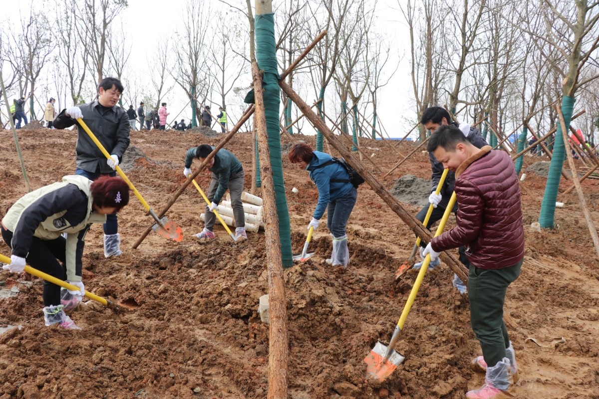 IMG_3207.JPG IMG_3207.JPG