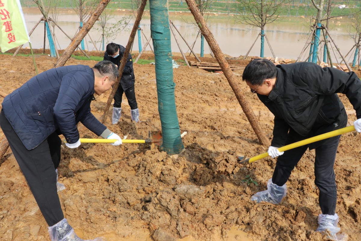 IMG_3180.JPG IMG_3180.JPG