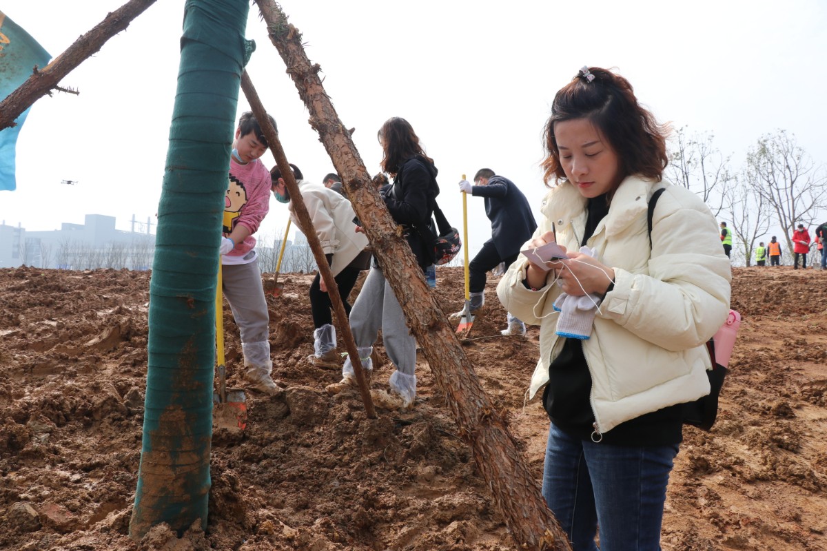 IMG_3233.JPG IMG_3233.JPG